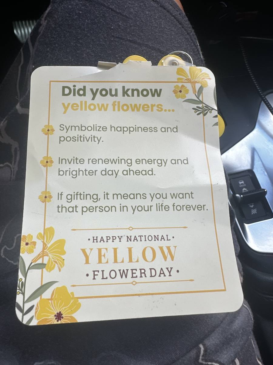 A Yellow Flower on My Windshield: Why You Never Know Someone’s Story